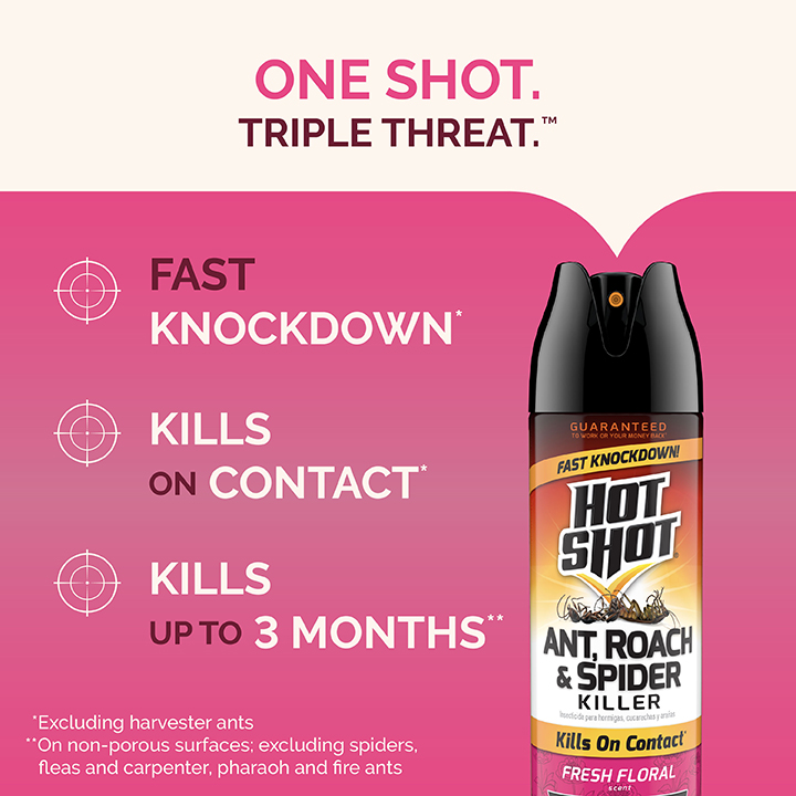HG-96781 Ant, Roach & Spider Killer Fresh Floral Scent 17.5 oz One Shot Triple Threat